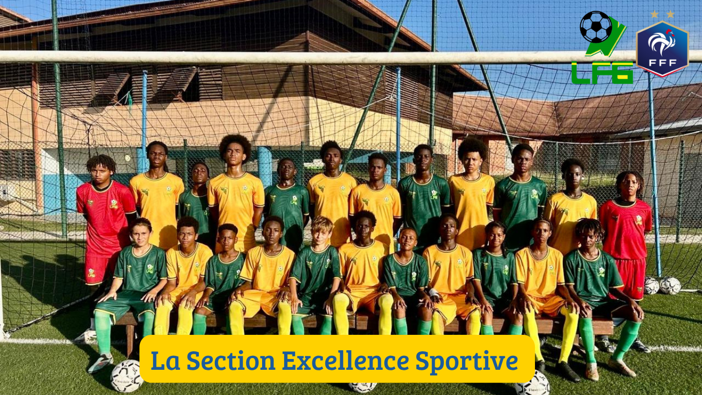 Section Excellence Sportive : Cap sur la section excellence sportive